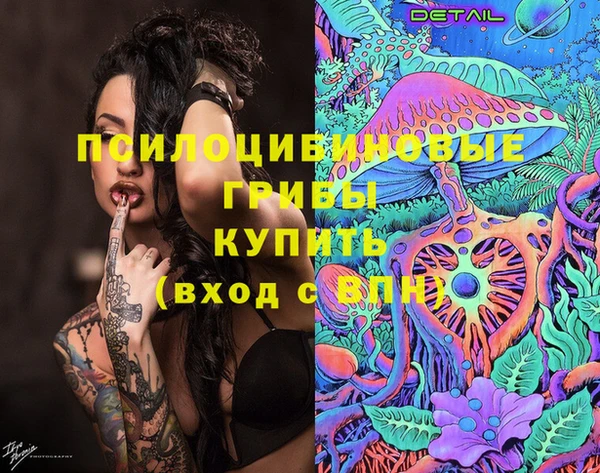 стафф Вязьма